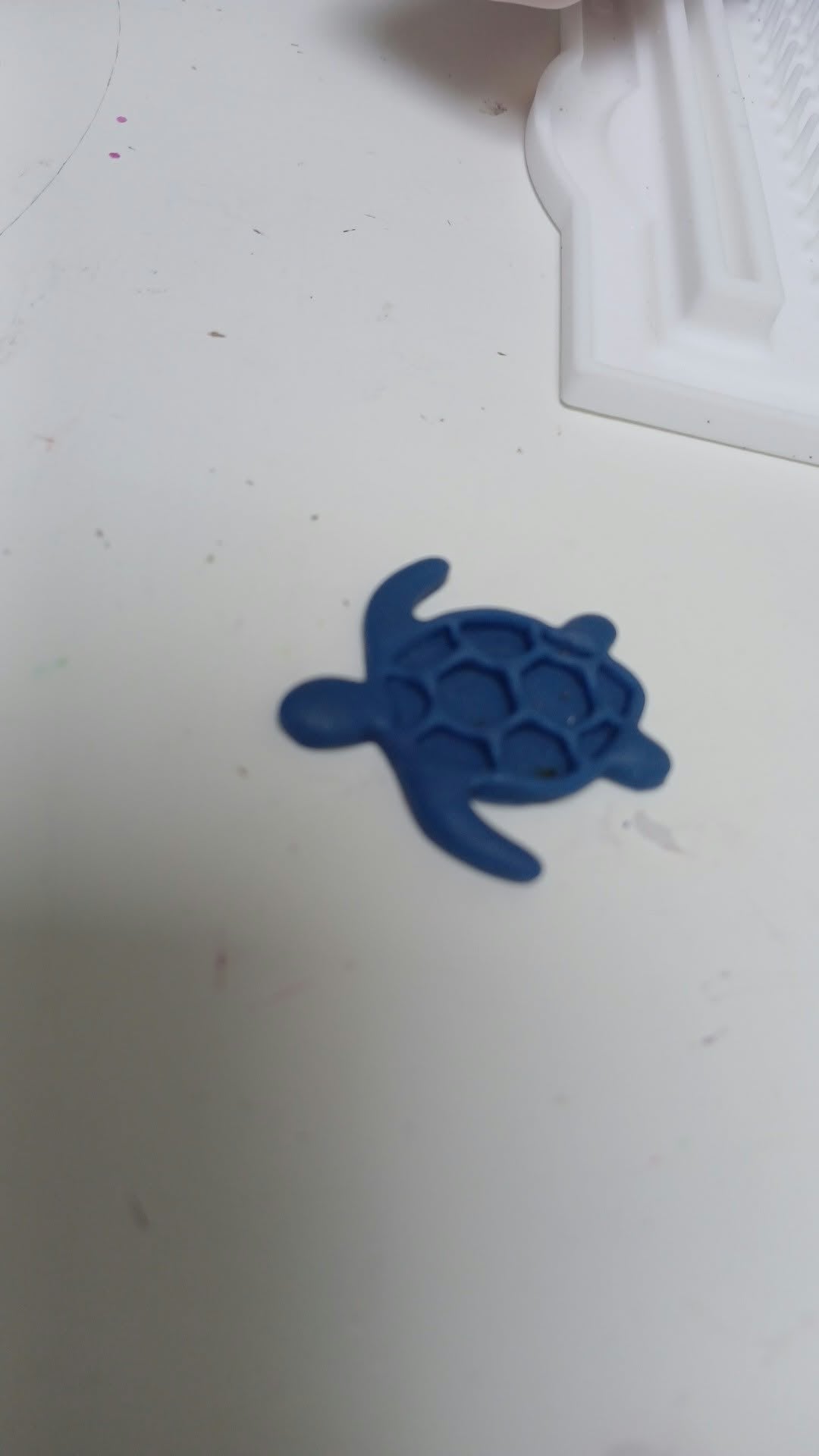 Tortue