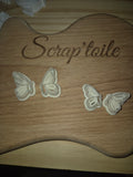 Papillon 3
